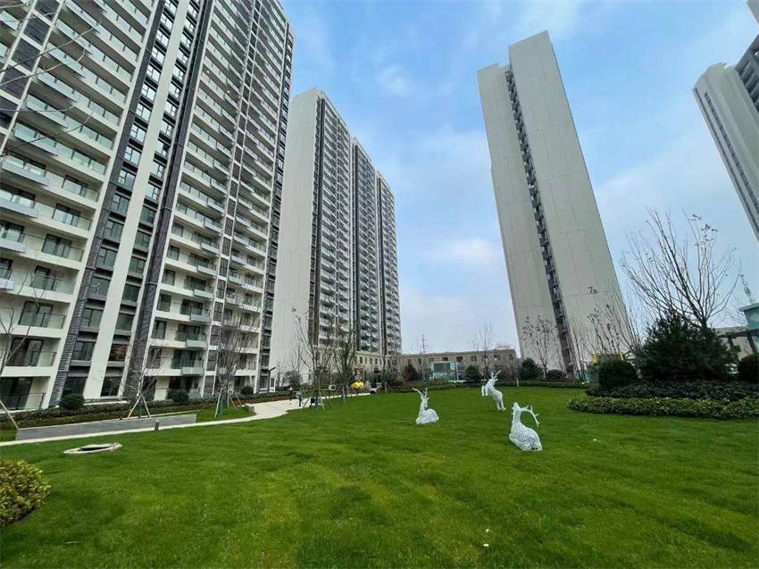 临沂.碧桂园 - 翡翠天镜 - 副本.png